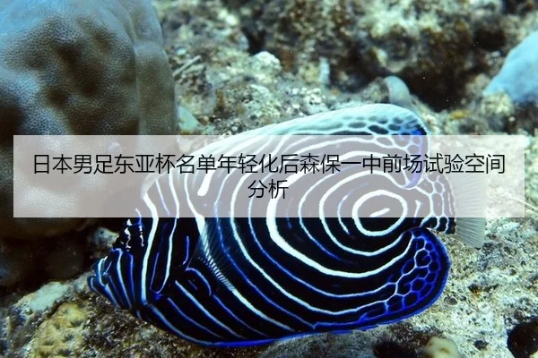 ri-ben-nan-zu-dong-ya-bei-ming-dan-nian-qing-hua-hou-sen-bao-yi-zhong-qian-chang-shi-yan-kong-jian-fen-xi-2-489.jpg